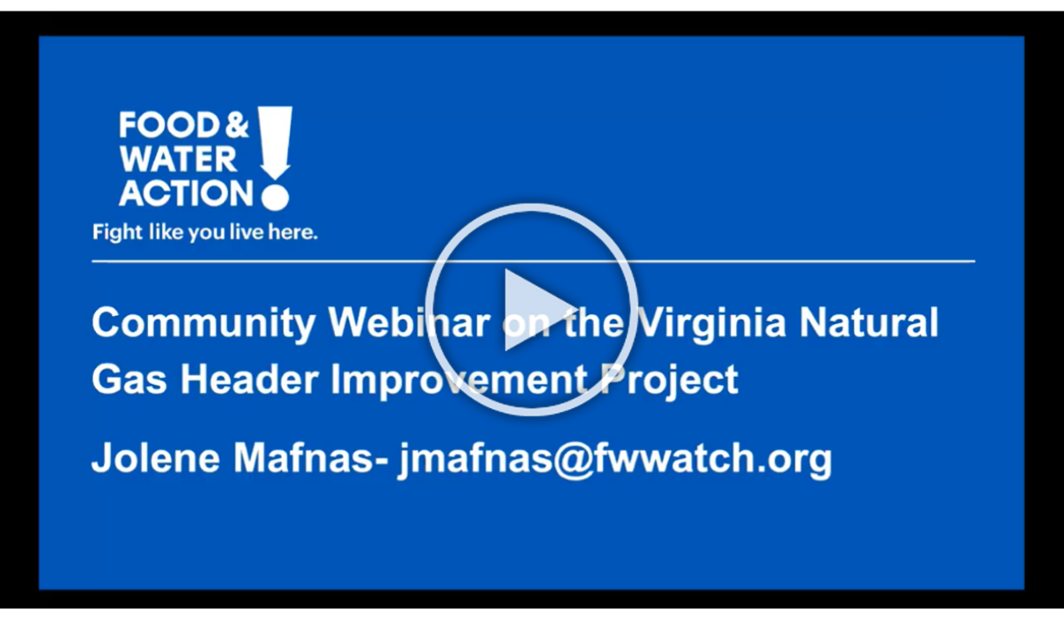 Click here to watch the webinar on VNG's Impact on Northern Virginia